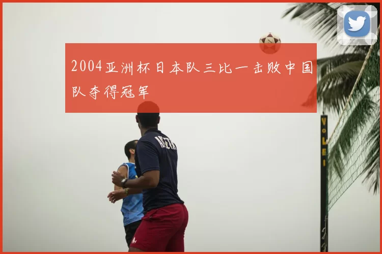 2004亚洲杯日本队三比一击败中国队夺得冠军