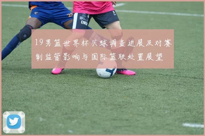 19男篮世界杯买球调查进展及对赛制监管影响与国际篮联处置展望