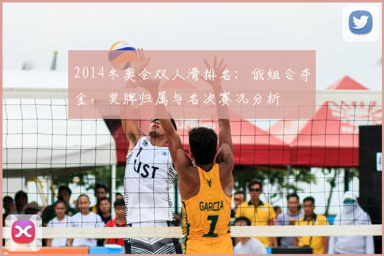 2014冬奥会双人滑排名：俄组合夺金，奖牌归属与名次赛况分析