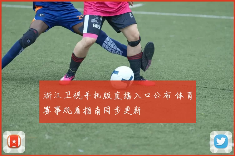 浙江卫视手机版直播入口公布 体育赛事观看指南同步更新