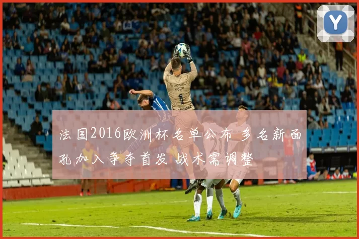 法国2016欧洲杯名单公布 多名新面孔加入争夺首发 战术需调整
