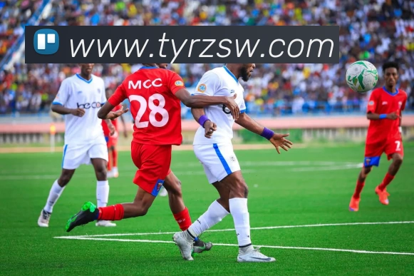 世界杯在线看球平台生态图